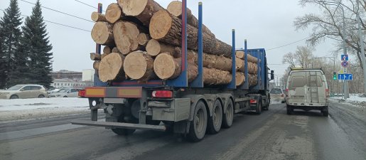 Поиск транспорта для перевозки леса, бревен и кругляка стоимость услуг и где заказать - Челябинск